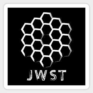 James Webb Space Telescope Magnet